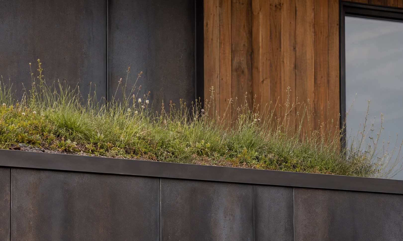 Calloway Residence — Green Roof